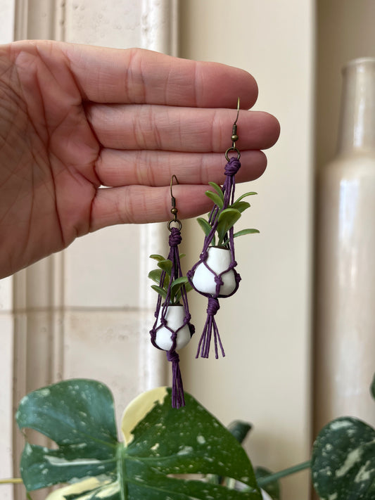 purple string - white pot