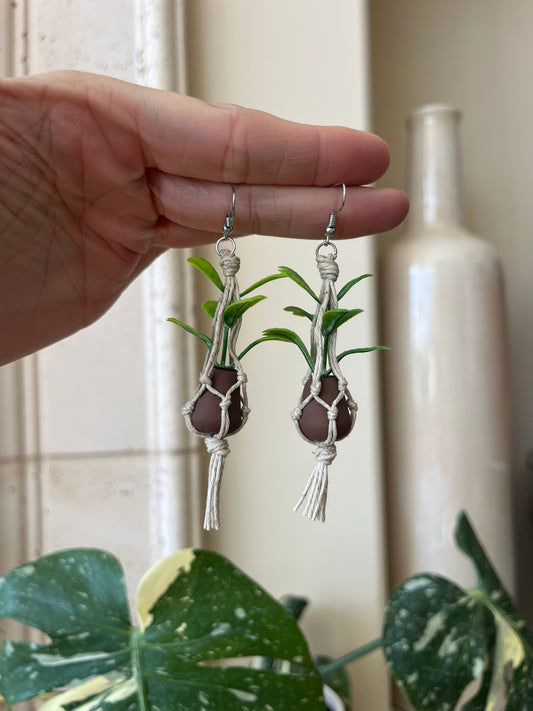 tan string - brown pot