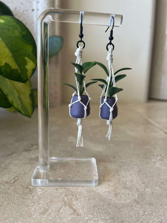 cream string - dark purple pot