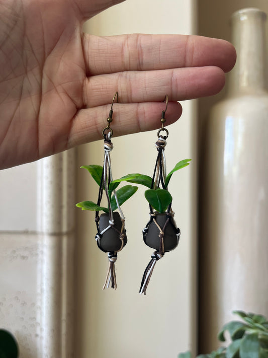 mixed string - black pot