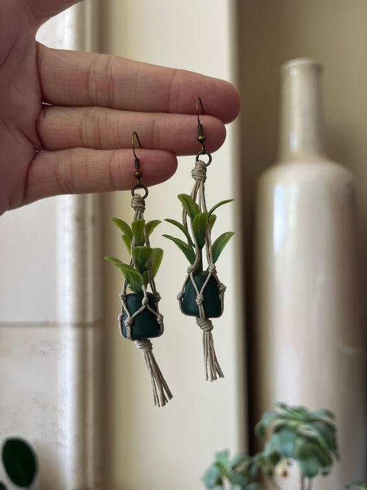 tan string - dark green pot