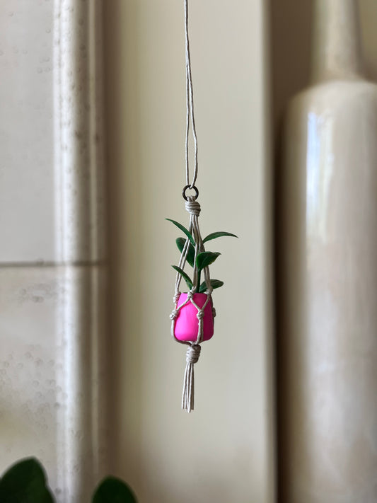 tan string - bright pink pot