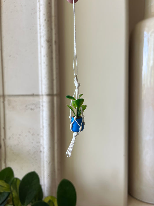white string - blue pot
