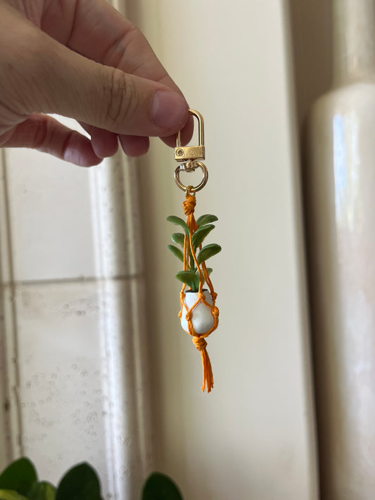 orange string - white pot