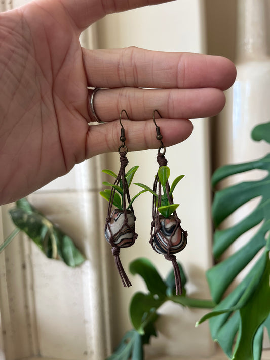 brown string - mixed pot