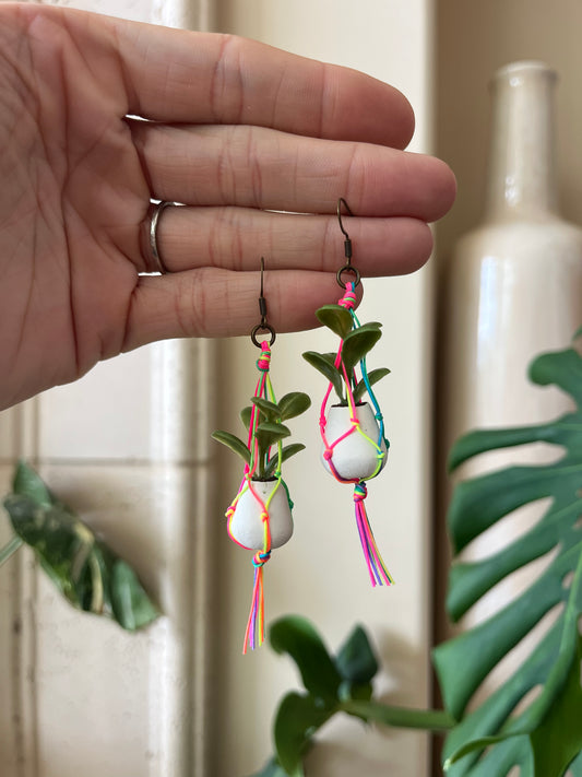rainbow string - white pot
