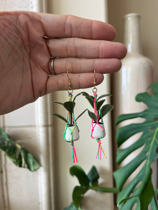 rainbow string - white pot