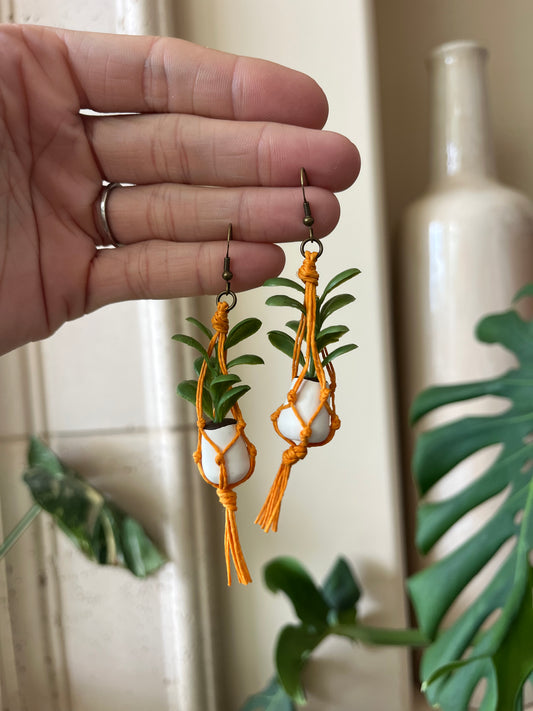 orange string - white pot