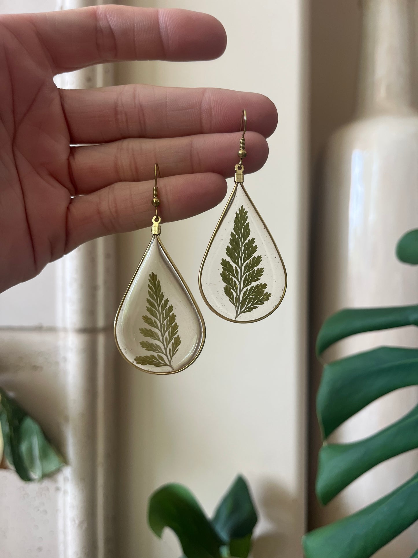fern
