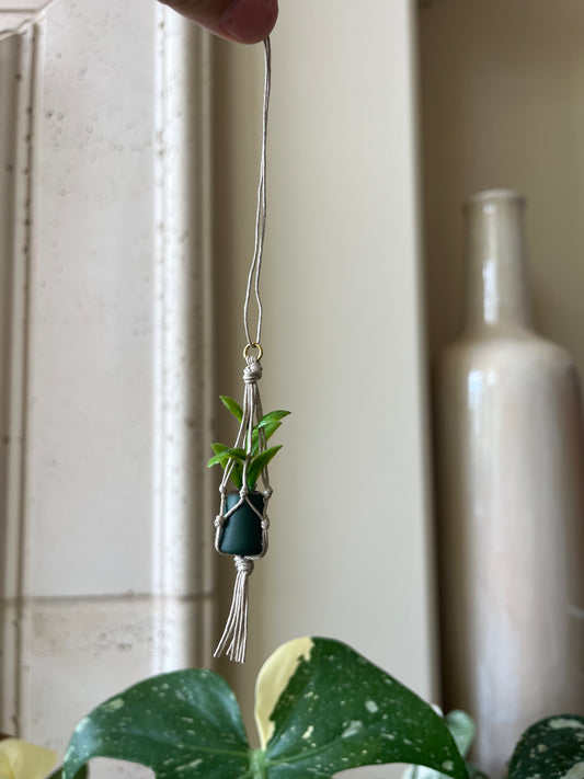 tan string - dark green pot