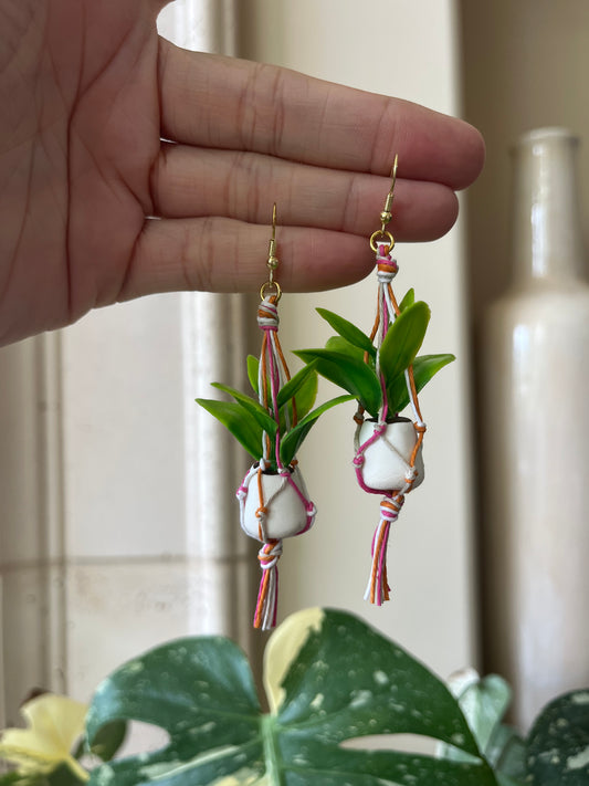 mixed string - white pot