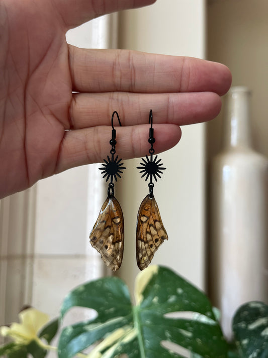 butterfly wing