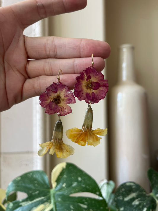 purple and yellow flower