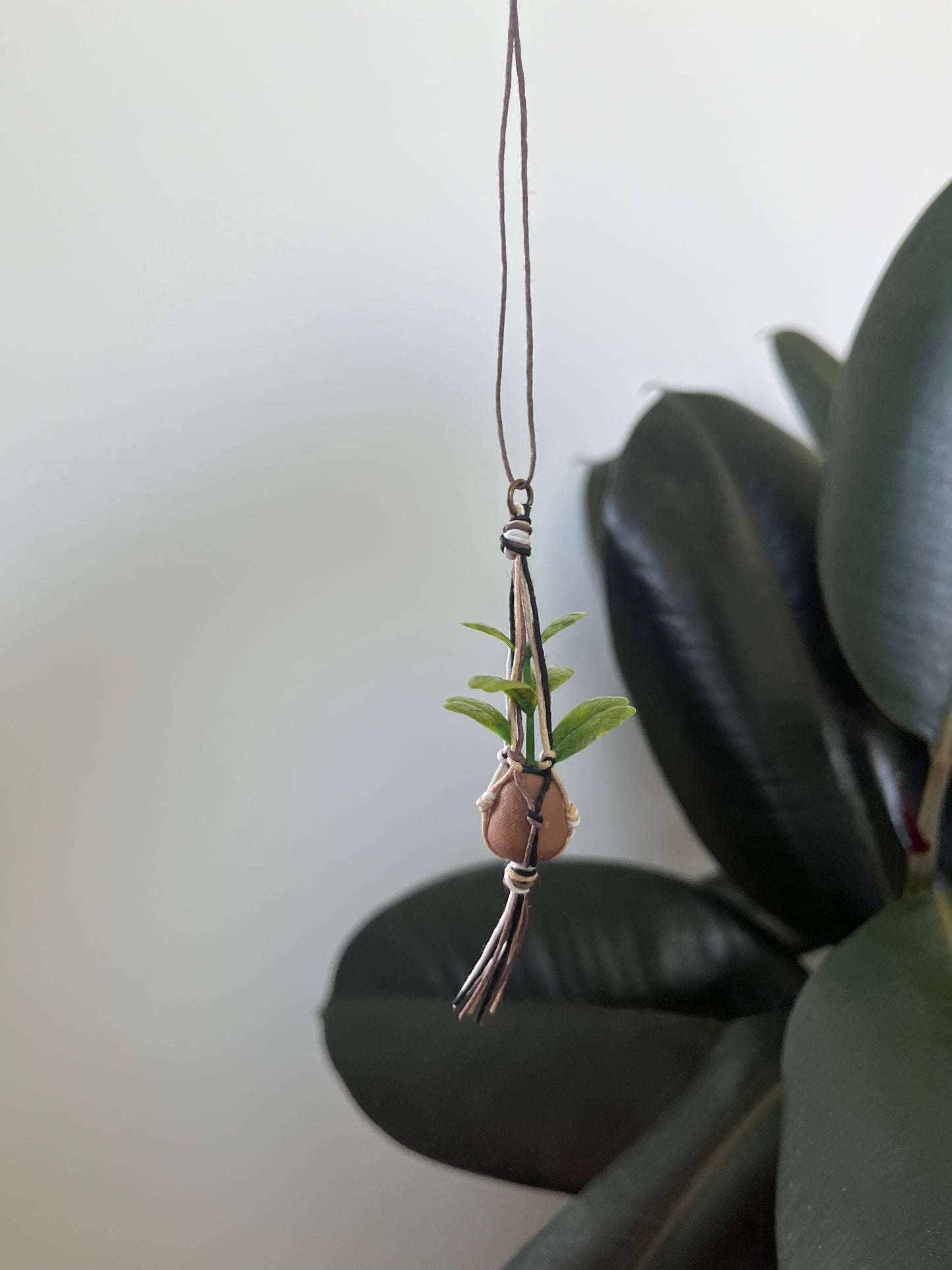 mixed string - brown pot