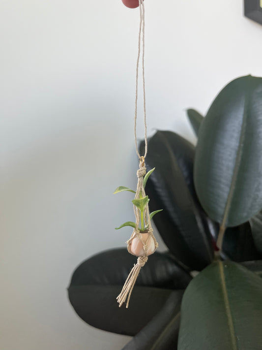 cream string - mixed pot