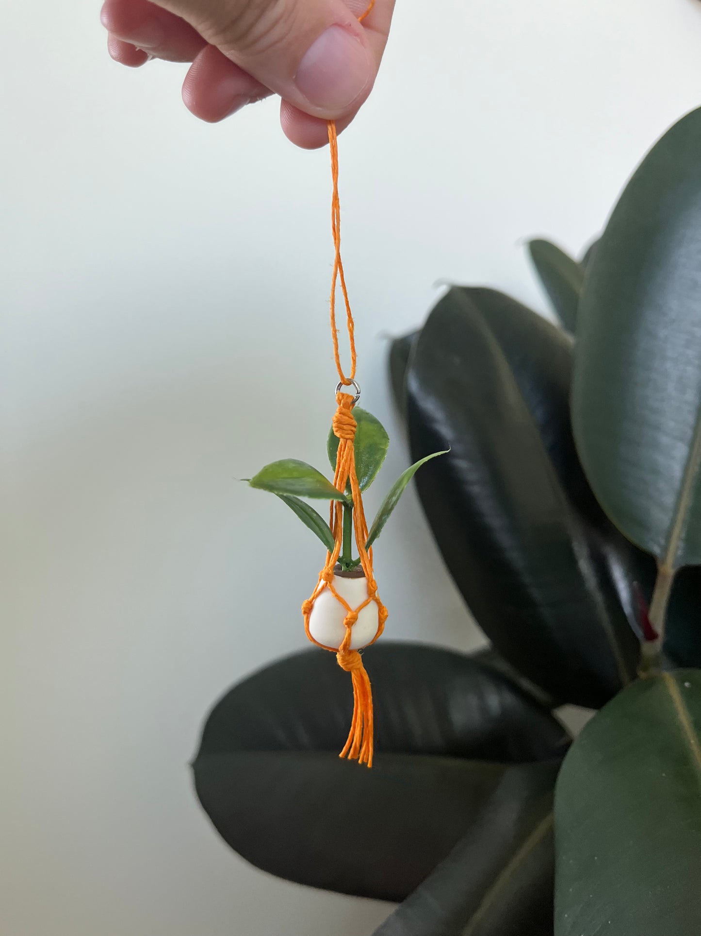 orange string - white pot