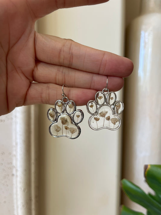 babies breath paw