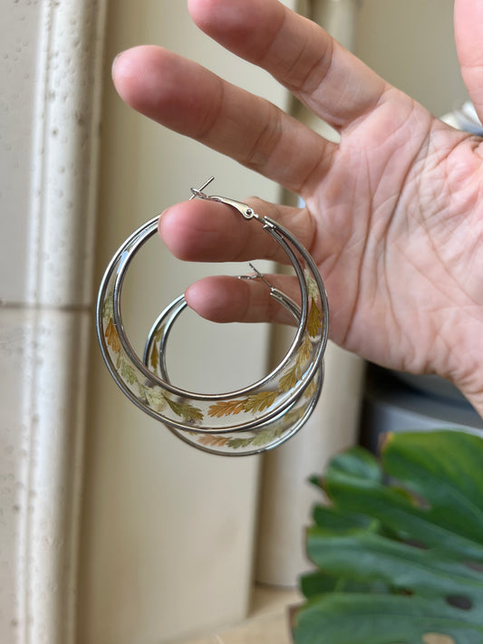 fern hoop