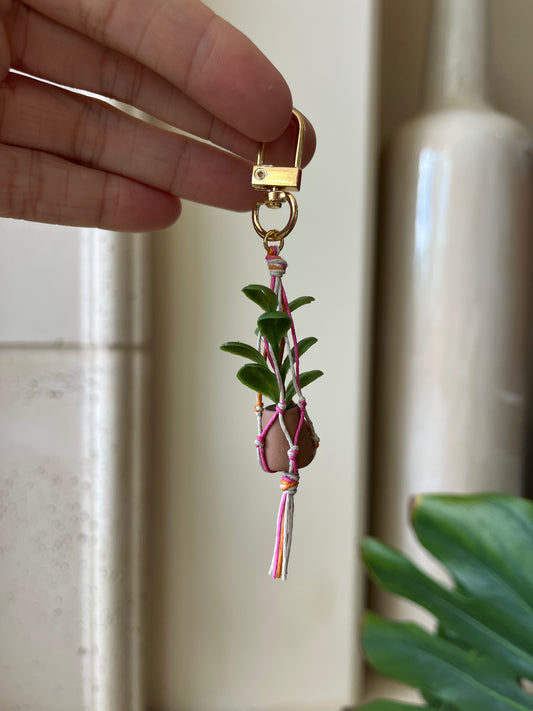 mixed string - brown pot