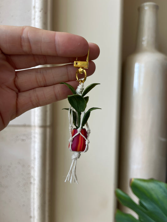 white string - mixed pot
