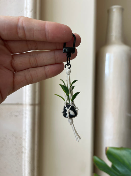 white string - mixed pot